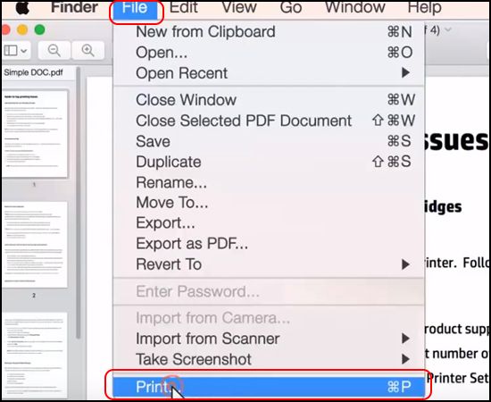 Chọn File -> Print